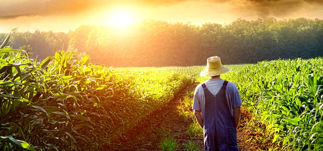 LordofHarvest2_987450940-0822cc1